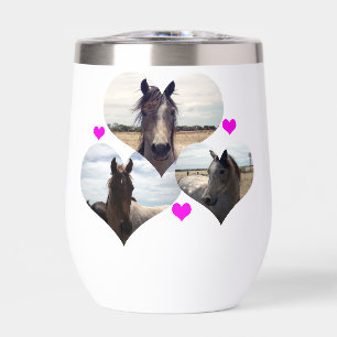 Drei arabische Horse