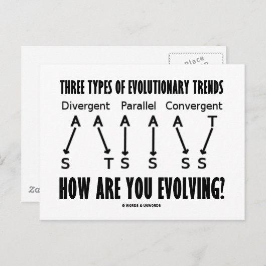 Drei Arten evolutionärer Trends (Evolution) Postkarte (Vorne/Hinten)