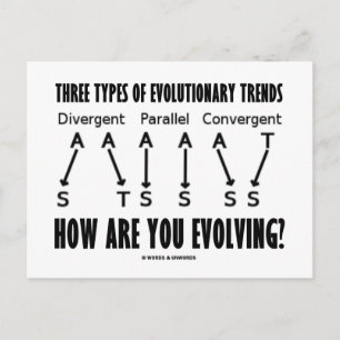 Drei Arten evolutionärer Trends (Evolution) Postkarte