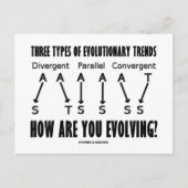 Drei Arten evolutionärer Trends (Evolution) Postkarte (Vorderseite)
