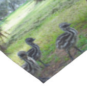 drei australische Emu-Chicks, Tischdecke (Schrägansicht)