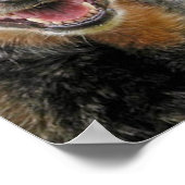 Drei australische Rinder-Hunde Art Poster (Ecke)