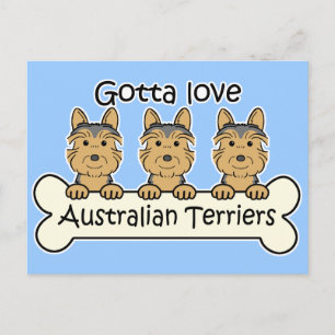 Drei australische Terrier Postkarte