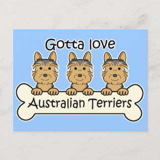Drei australische Terrier Postkarte