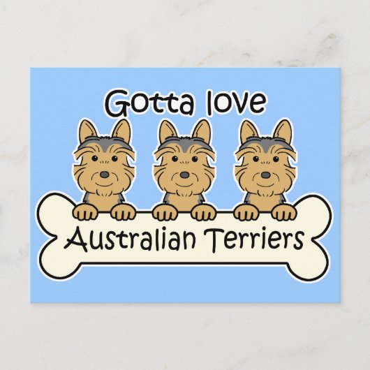 Drei australische Terrier Postkarte (Vorderseite)