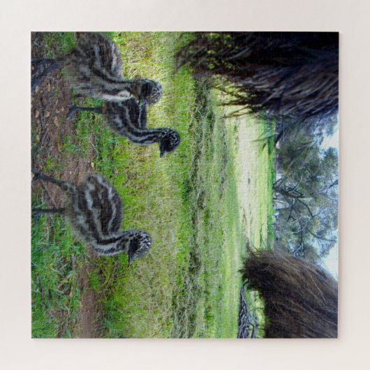 Drei Baby Emu Chicks, Puzzle (Horizontal)