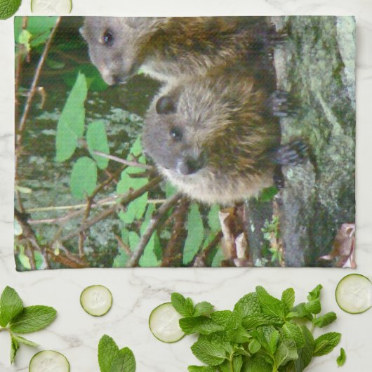 Drei Baby Groundhogs Geschirrtuch (Gefaltet)