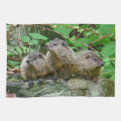 Drei Baby Groundhogs Geschirrtuch (Horizontal)