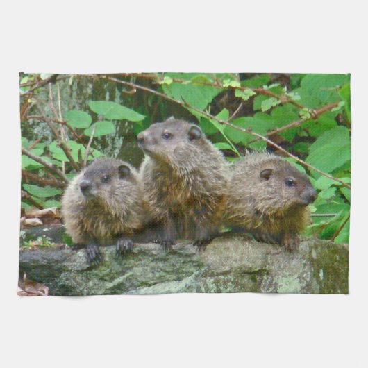 Drei Baby Groundhogs Geschirrtuch (Horizontal)