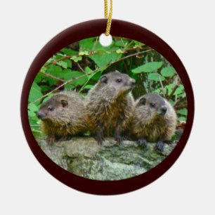 Drei Baby Groundhogs Keramik Ornament