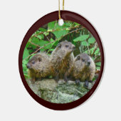 Drei Baby Groundhogs Keramik Ornament (Links)