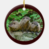 Drei Baby Groundhogs Keramik Ornament (Hinten)