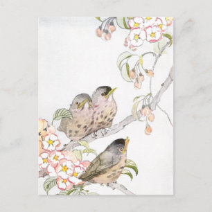Drei Baby Robins in einem Kirschbaum Postkarte