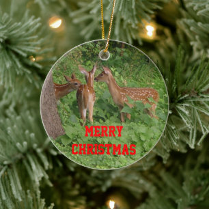 Drei Babyhirsch-Weihnachtsschmuck ANPASSEN Datum Keramikornament