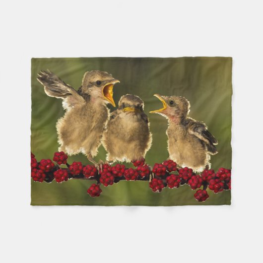 Drei BabyLanius Schach Vögel Fleecedecke (Vorderseite (Horizontal))