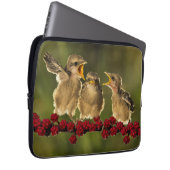 Drei BabyLanius Schach Vögel Laptopschutzhülle (Vorne Rechts)