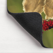 Drei BabyLanius Schach Vögel Mousepad (Ecke)