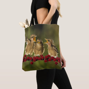 Drei BabyLanius Schach Vögel Tasche