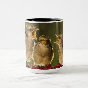 Drei BabyLanius Schach Vögel Tasse