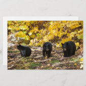 Drei Bären Briefpapier (Vorne/Hinten)