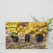 Drei Bären Briefpapier (Stehend Vorderseite)