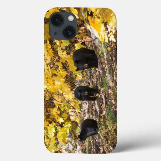 Drei Bären Case-Mate iPhone Hülle (Rückseite)