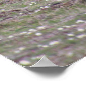 Drei-Bären-Foto Poster (Ecke)