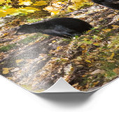 Drei Bären Fotodruck (Ecke)