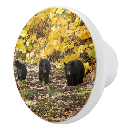 Drei Bären Keramikknauf (Rechts)