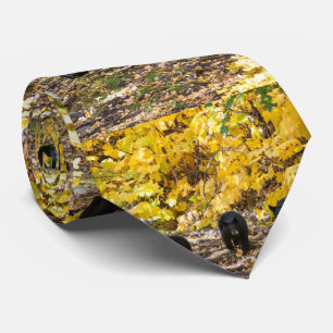 Drei Bären Krawatte