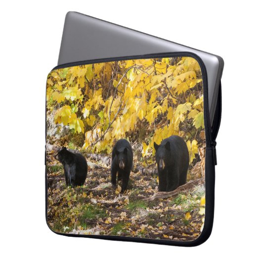Drei Bären Laptopschutzhülle (Vorderseite Links)