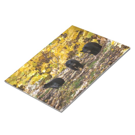 Drei Bären Notizblock (angewinkelt)