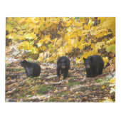 Drei Bären Notizblock (Vorderseite)