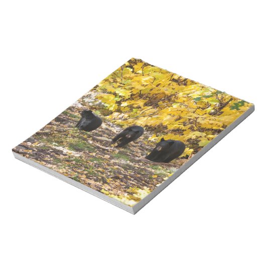 Drei Bären Notizblock (Rotiert)