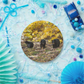 Drei Bären Pappteller (Party)