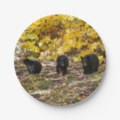 Drei Bären Pappteller (Vorderseite)