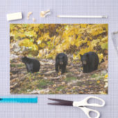 Drei Bären Seidenpapier (Handwerk)