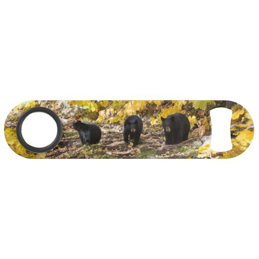 Drei Bären Speed Flaschenöffner (Vorderseite (Horizontal))