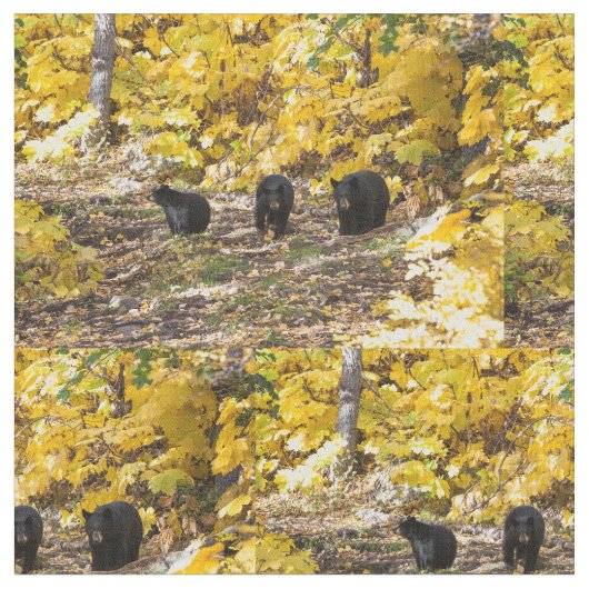 Drei Bären Stoff (Nahaufnahme)