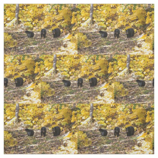 Drei Bären Stoff (Muster)