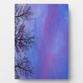 Drei Baumstämme Fotoplatte (Vorderseite)