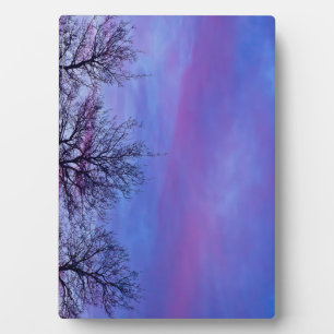 Drei Baumstämme Fotoplatte