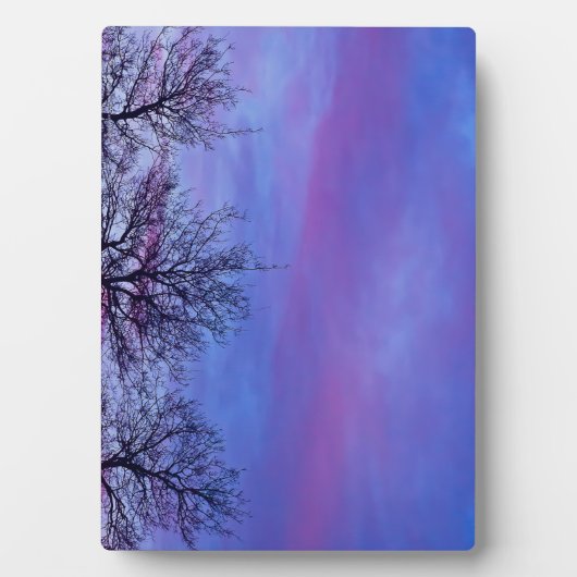 Drei Baumstämme Fotoplatte (Vorderseite)