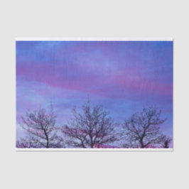 Drei Baumstämme Seidenpapier