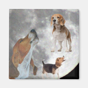 Drei Beagles und der Mond-Magnet Magnet