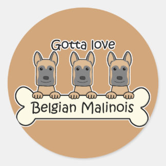 Drei belgische Malinois Runder Aufkleber