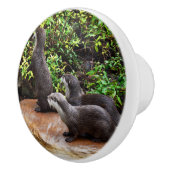 drei besonders schöne Otter, Keramikknauf (Rechts)