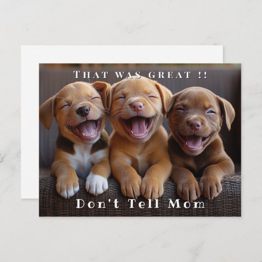 Drei bezaubernde, sonnige Welpen Postkarte (Vorne/Hinten)