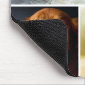 Drei Bild Collage Custom Mouse Pad Mousepad (Ecke)