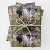 Drei Billy-Goats-Wrapper Geschenkpapier Set (Beispiel)
